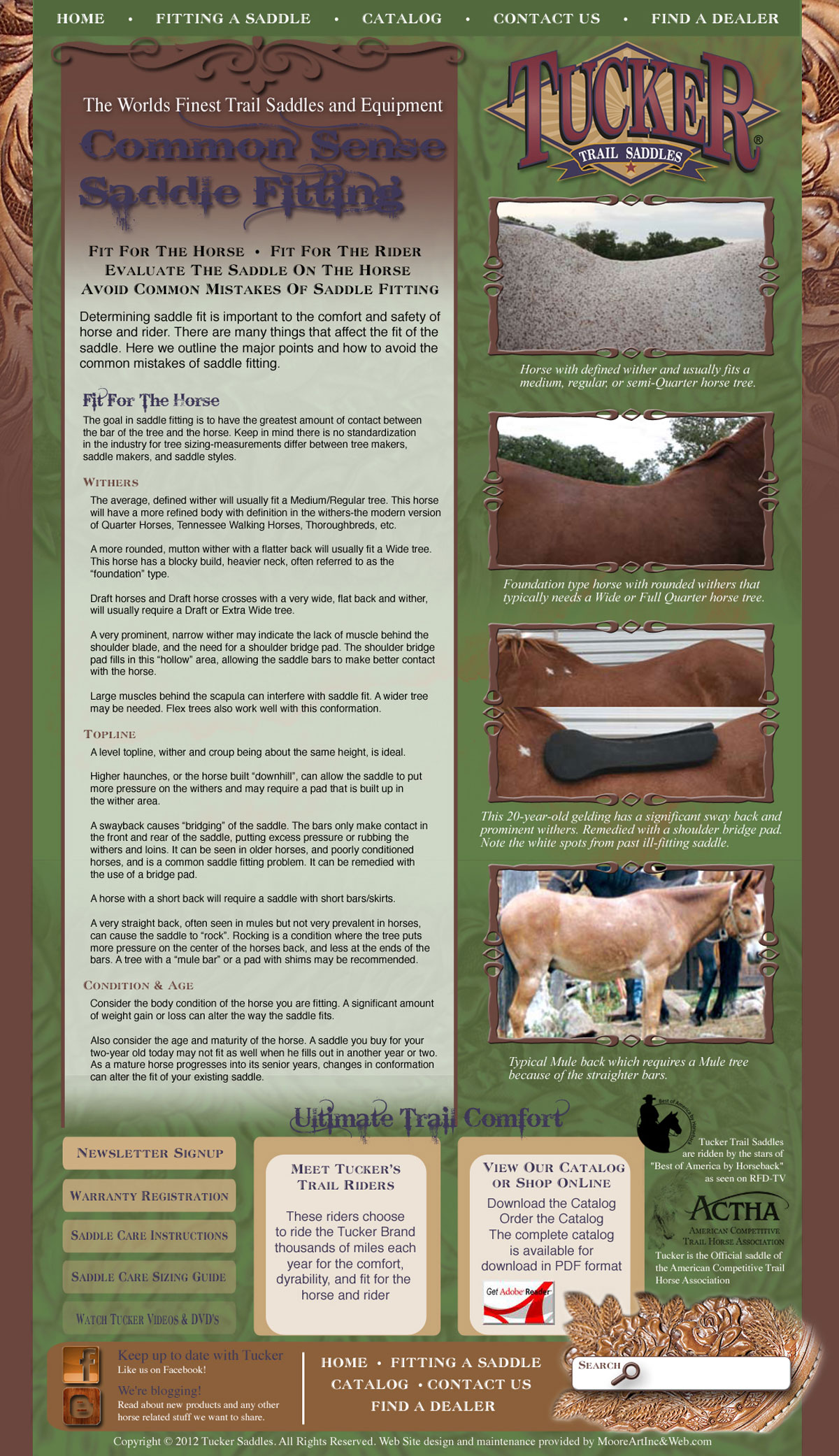 Page two of a web site designed for Tucker Saddle